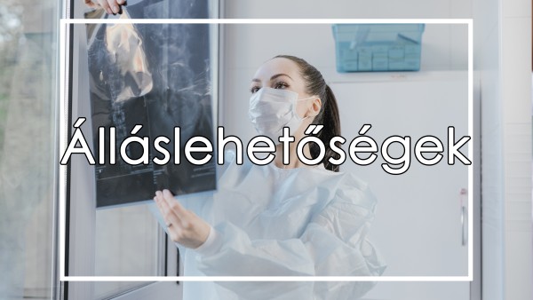 Álláslehetőségek
