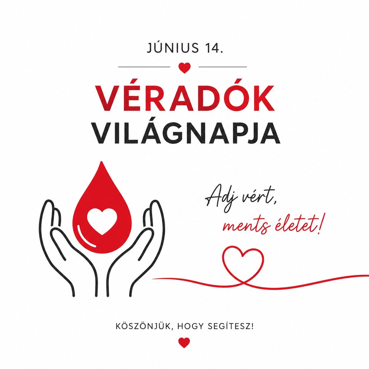 A VÉRADÓK VILÁGNAPJA