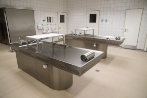 CSMEK-Hódmezővásárhely-Makó Struktúraváltó projekt